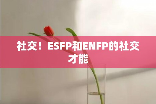 社交！ESFP和ENFP的社交才能