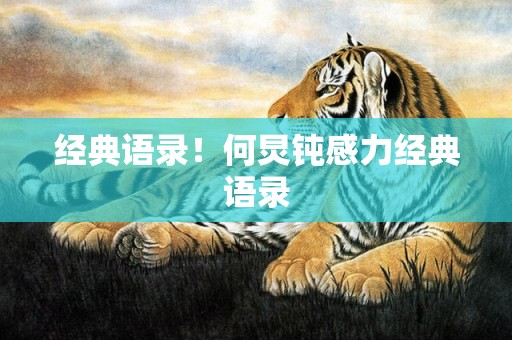 经典语录！何炅钝感力经典语录
