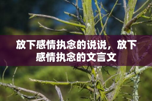 放下感情执念的说说，放下感情执念的文言文