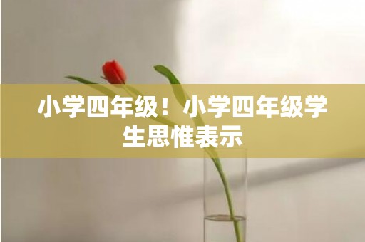 小学四年级！小学四年级学生思惟表示