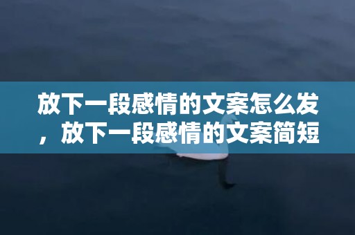 放下一段感情的文案怎么发，放下一段感情的文案简短