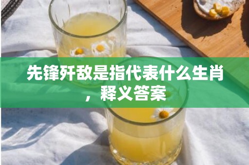 先锋歼敌是指代表什么生肖，释义答案