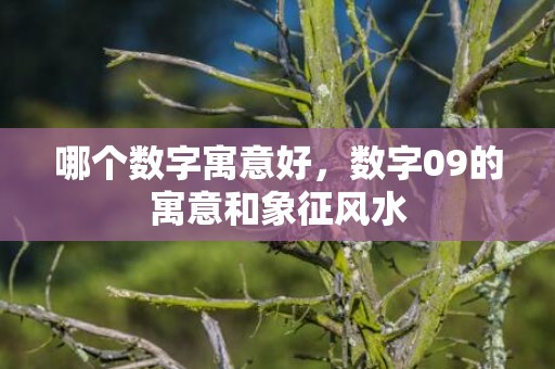 哪个数字寓意好，数字09的寓意和象征风水