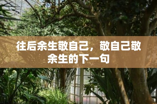 往后余生敬自己，敬自己敬余生的下一句