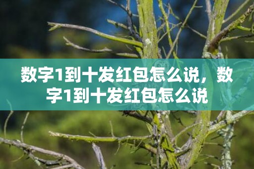 数字1到十发红包怎么说，数字1到十发红包怎么说