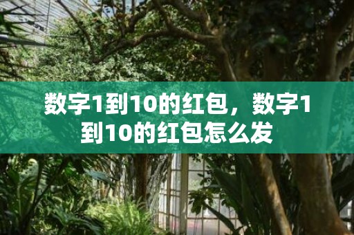 数字1到10的红包，数字1到10的红包怎么发