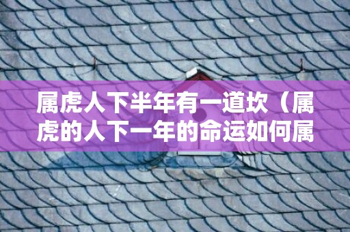 属虎人下半年有一道坎（属虎的人下一年的命运如何属虎的下半年运气怎么样）