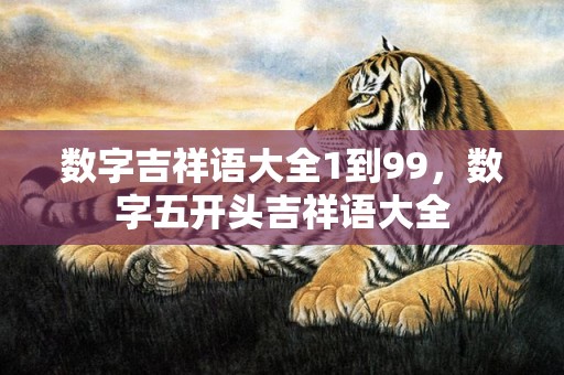 数字吉祥语大全1到99，数字五开头吉祥语大全