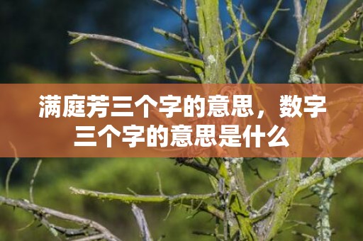 满庭芳三个字的意思，数字三个字的意思是什么