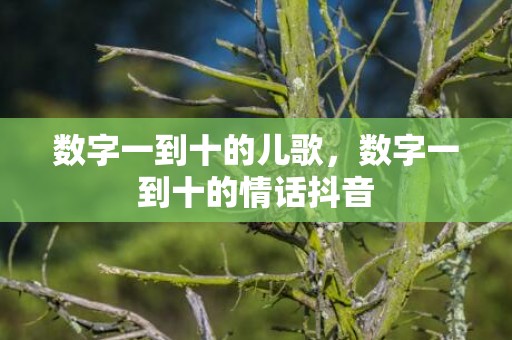 数字一到十的儿歌，数字一到十的情话抖音