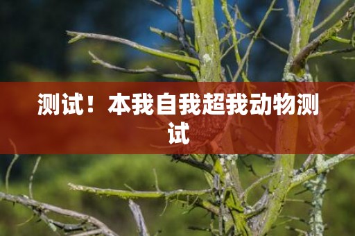 测试！本我自我超我动物测试