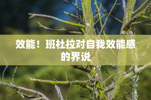 效能！班杜拉对自我效能感的界说