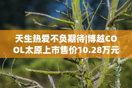 天生热爱不负期待|博越COOL太原上市售价10.28万元起，共推出4个版型