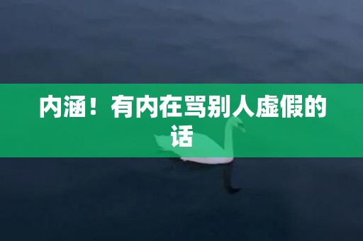 内涵！有内在骂别人虚假的话