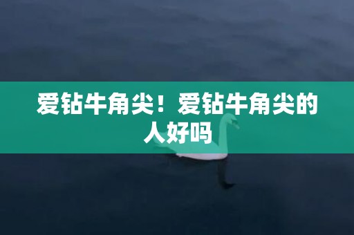 爱钻牛角尖！爱钻牛角尖的人好吗