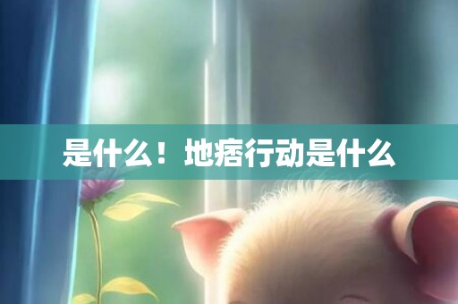 是什么！地痞行动是什么