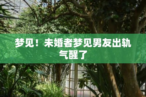 梦见！未婚者梦见男友出轨气醒了