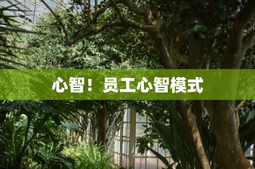 心智！员工心智模式
