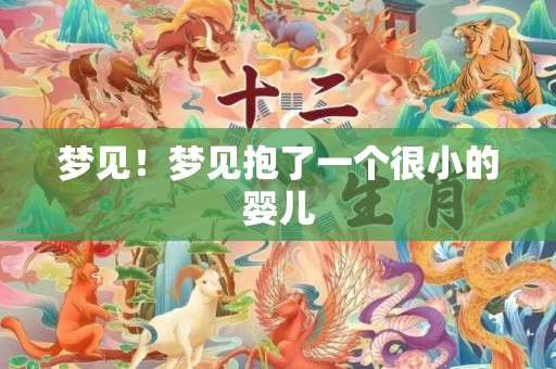 梦见！梦见抱了一个很小的婴儿