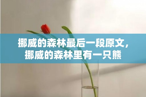 挪威的森林最后一段原文，挪威的森林里有一只熊