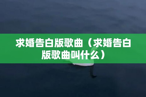 求婚告白版歌曲（求婚告白版歌曲叫什么）