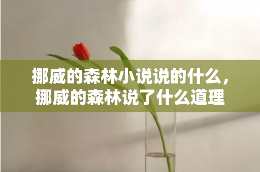 挪威的森林小说说的什么，挪威的森林说了什么道理