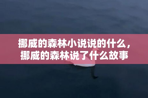 挪威的森林小说说的什么，挪威的森林说了什么故事