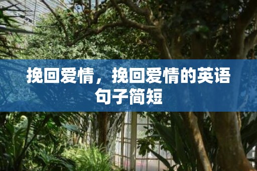 挽回爱情，挽回爱情的英语句子简短