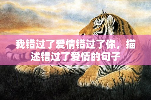 我错过了爱情错过了你，描述错过了爱情的句子