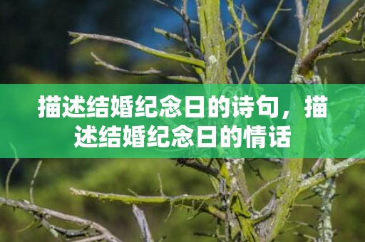 描述结婚纪念日的诗句，描述结婚纪念日的情话