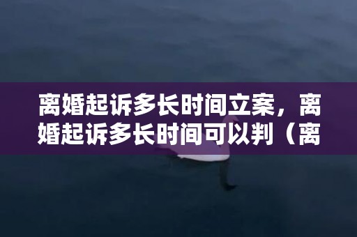 离婚起诉多长时间立案，离婚起诉多长时间可以判（离婚起诉多久才立案）