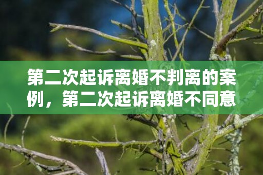 第二次起诉离婚不判离的案例，第二次起诉离婚不同意（第二次起诉离婚不同意怎么办）
