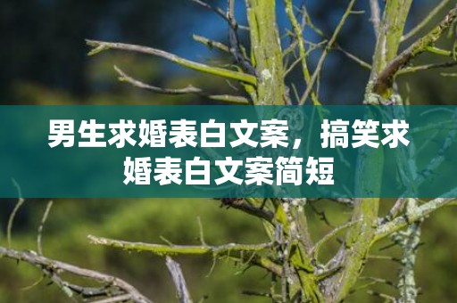 男生求婚表白文案，搞笑求婚表白文案简短