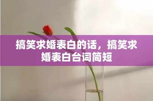 搞笑求婚表白的话，搞笑求婚表白台词简短