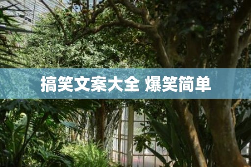 搞笑文案大全 爆笑简单