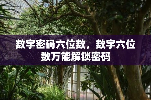 数字密码六位数，数字六位数万能解锁密码