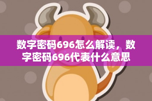 数字密码696怎么解读，数字密码696代表什么意思