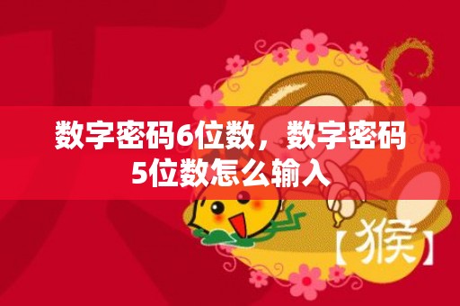 数字密码6位数，数字密码5位数怎么输入