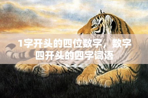 1字开头的四位数字，数字四开头的四字词语