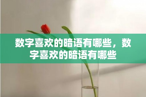 数字喜欢的暗语有哪些，数字喜欢的暗语有哪些