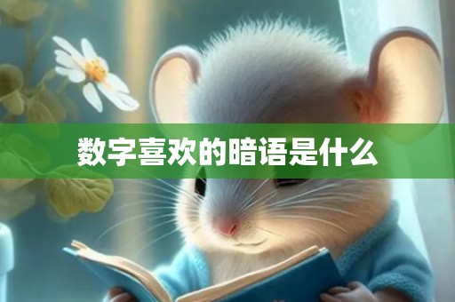 数字喜欢的暗语是什么
