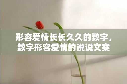 形容爱情长长久久的数字，数字形容爱情的说说文案