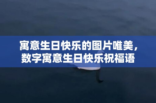 寓意生日快乐的图片唯美，数字寓意生日快乐祝福语