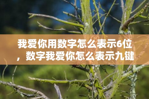 我爱你用数字怎么表示6位，数字我爱你怎么表示九键