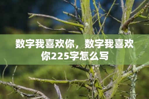 数字我喜欢你，数字我喜欢你225字怎么写