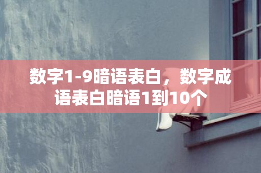 数字1-9暗语表白，数字成语表白暗语1到10个