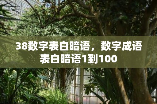 38数字表白暗语，数字成语表白暗语1到100