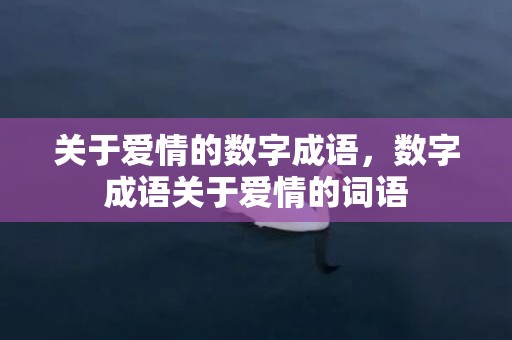 关于爱情的数字成语，数字成语关于爱情的词语