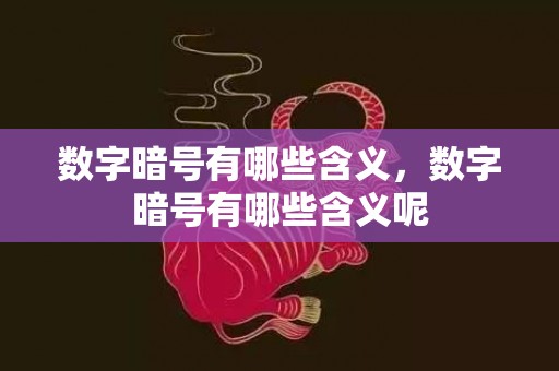 数字暗号有哪些含义，数字暗号有哪些含义呢