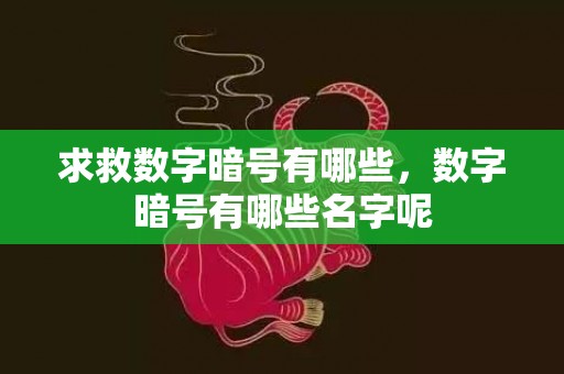 求救数字暗号有哪些，数字暗号有哪些名字呢
